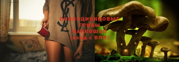 mix Алексин
