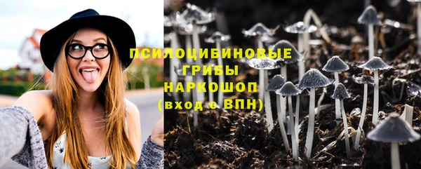mix Алексин